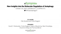 Thumbnail for New Insights into the Molecular Regulation of Autophagy