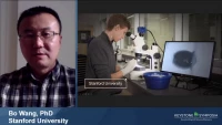 Thumbnail for Short Talk: Genetic Chimerism Causes Regeneration Defects in the Planarian