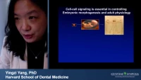 Thumbnail for Skeletal Stem Cells and GPCR Signaling