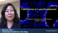 Thumbnail for Fate Choices in Lung Development