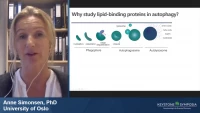 Thumbnail for Regulation of Autophagy by Lipid‑Binding Proteins