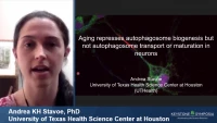 Thumbnail for Short Talk: Aging Represses Autophagosome Biogenesis but not Autophagosome Transport or Maturation in Neurons