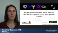 Thumbnail for Short Talk: Autophagy and Lysosomal Degradation Ensure Accurate Chromosomal Segregation to Prevent Genomic Instability
