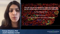 Thumbnail for Short Talk: Vascular Smooth Muscle‑Derived Adipocyte Progenitors are the Cellular Origin of Cold Induced Brown Adipocytes