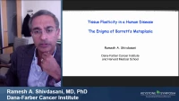 Thumbnail for Tissue Plasticity in a Human Disease: The Enigma of Barrett’s Metaplasia
