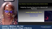Thumbnail for Gut Inflammation in Disease