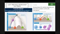 Thumbnail for Differentiated Cells Undergo Metaplasia and Tumorigenesis via Paligenosis