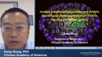 Thumbnail for Inositol Polyphosphate Multikinase Inhibits Liquid-Liquid Phase Separation of TFEB to Regulate Autophagy Activity