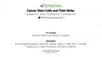 Thumbnail for Cancer Stem Cells and Their Niche