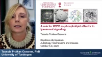 Thumbnail for Regulation of WIPI Beta‑Propeller Function in Autophagy