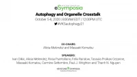 Thumbnail for Autophagy and Organelle Crosstalk