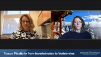 Thumbnail for Tissue Plasticity from Invertebrates to Vertebrates