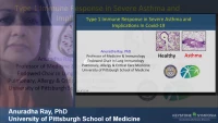 Thumbnail for Type 1 Immune Response in Severe Asthma and Implications in COVID‑19