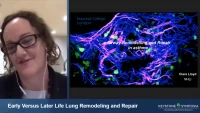 Thumbnail for Early Versus Later Life Lung Remodeling and Repair