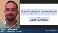 Thumbnail for Short Talk: Mycobacterium tuberculosis VapC4 Toxin Engages Small ORFs to Initiate an Integrated Oxidative and Copper Stress Response