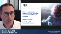 Thumbnail for Cross‑Neutralization of SARS‑CoV‑2 by a Human Monoclonal SARS‑CoV Antibody