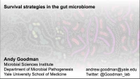 Thumbnail for Survival Strategies in the Gut Microbiome