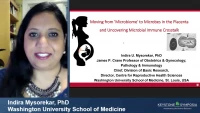 Thumbnail for [Maternal Microbiome] The Placental and Endometrial Microbiota ‑ A Debate: Technical Artifact or Biological Reality?
