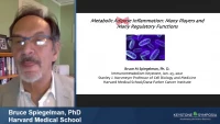 Thumbnail for Adipose Inflammation: Many Players and Many Regulatory Functions