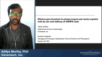 Thumbnail for Short Talk: Efficient Gene Knockout in Primary Myeloid Cells by Non-Viral Delivery of CRISPR-Cas9