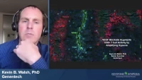 Thumbnail for Short Talk: VEGF Blockade Augments CD8+ T Cell Activity by Amplifying Tumor Hypoxia