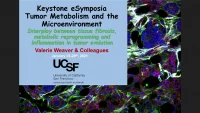 Thumbnail for Targeting the Extracellular Matrix