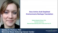 Thumbnail for Short Talk: Translation in Amino Acid-Poor Environments is Limited by tRNAGln Charging