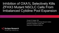 Thumbnail for Short Talk: Small Molecule Inhibition of OXA1L Selectively Kills ZFHX3 Mutant NSCLC from Imbalanced Cytidine Pool Expansion