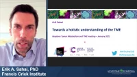 Thumbnail for Towards a Holistic Understanding of the TME