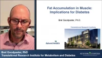 Thumbnail for Fat Accumulation in Muscle: Implications for Diabetes