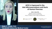 Thumbnail for ACE2 is Expressed in the Islet Microvasculature and Ducts of Human Pancreas