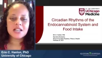 Thumbnail for Circadian Rhythms of the Endocannabinoid System and Food Intake