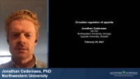 Thumbnail for Circadian Regulation of Appetite