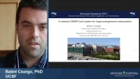 Thumbnail for Short Talk: A Compact Cascade-Cas3 System for Targeted Genome Engineering and Gene Discovery