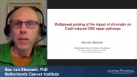 Thumbnail for Multiplexed Probing of the Impact of Chromatin on Cas9-Induced DSB Repair Pathways