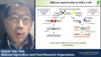 Thumbnail for Plant DNA Repair and Genome Engineering