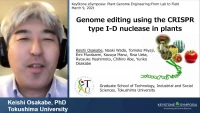 Thumbnail for Short Talk: Genome Editing Using the CRISPR Type I-D Nuclease in Plants