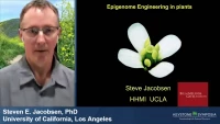 Thumbnail for Epigenetic Editing in Plants