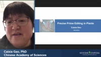Thumbnail for Precise Prime Editing in Plants
