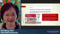 Thumbnail for Breeding of a Transformable Model Maize Line for Genome Editing