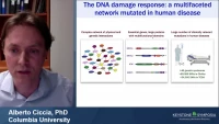 Thumbnail for Short Talk: Functional Interrogation of DNA Damage Response Variants with Base Editing Screens