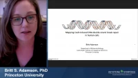 Thumbnail for Single Cell Sequencing Technologies