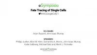 Thumbnail for Fate Tracing of Single Cells