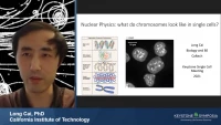 Thumbnail for Image-Based Transcriptomics in the Spatial Context