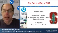 Thumbnail for Technology and Applications in Single Cell Analysis