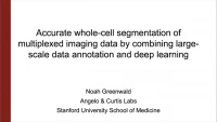Thumbnail for Short Talk: Accurate Whole-Cell Segmentation of Multiplexed Imaging Data by Combining Large-Scale Data Annotation and Deep Learning