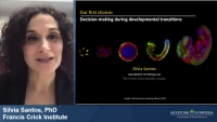 Thumbnail for Signaling Dynamics for Cellular Fate Control