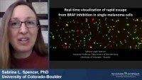 Thumbnail for Real-Time Visualization of Rapid Escape from Drug Treatment in Single Melanoma Cells