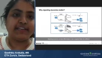 Thumbnail for Short Talk: Optogenetic Manipulation Reveals ERK and AKT Signaling Dynamics Required for ESC Differentiation