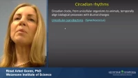 Thumbnail for Short Talk: Robust, Coherent and Synchronized Circadian Clock-Controlled Oscillations along Multicellular Filaments of Anabaena cyanobacteria